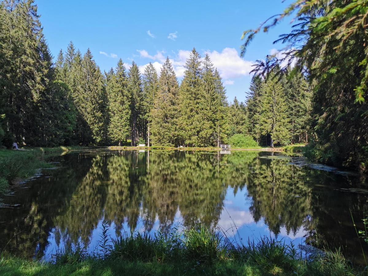 Апартаменти Naehe Nationalpark Баїрсбронн Екстер'єр фото